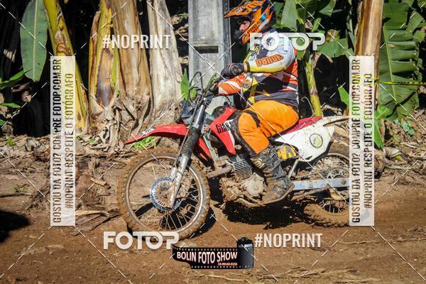 Buy your photos of the eventBANANALAMA  on Fotop