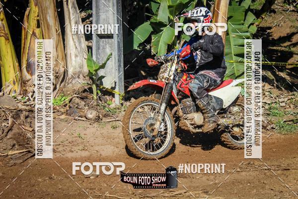 Buy your photos of the eventBANANALAMA  on Fotop