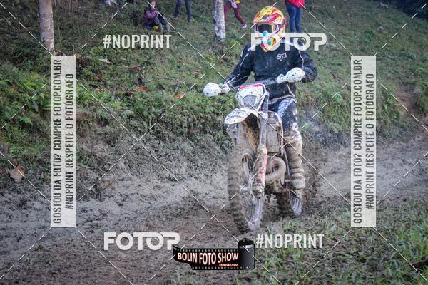 Buy your photos of the eventBANANALAMA  on Fotop