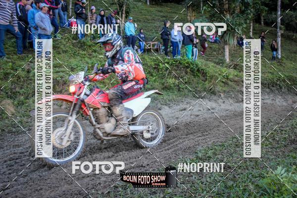 Buy your photos of the eventBANANALAMA  on Fotop