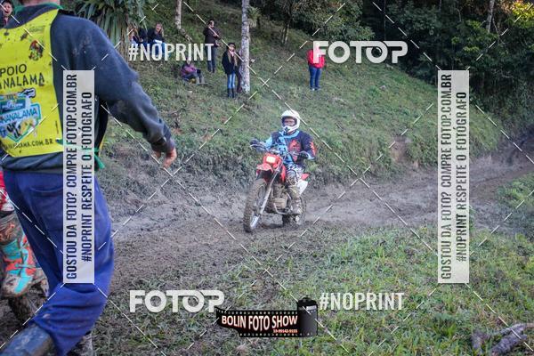 Buy your photos of the eventBANANALAMA  on Fotop