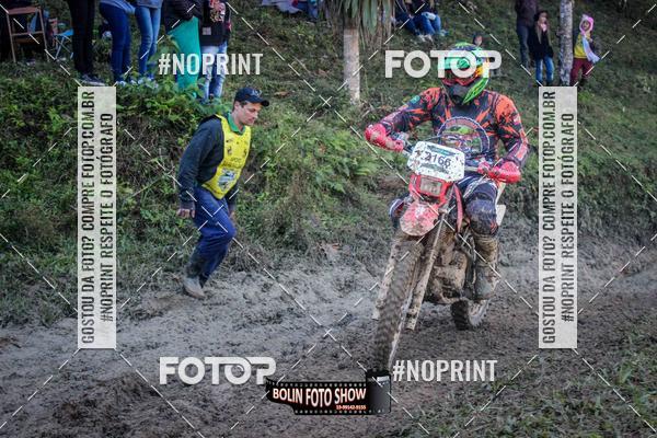 Buy your photos of the eventBANANALAMA  on Fotop