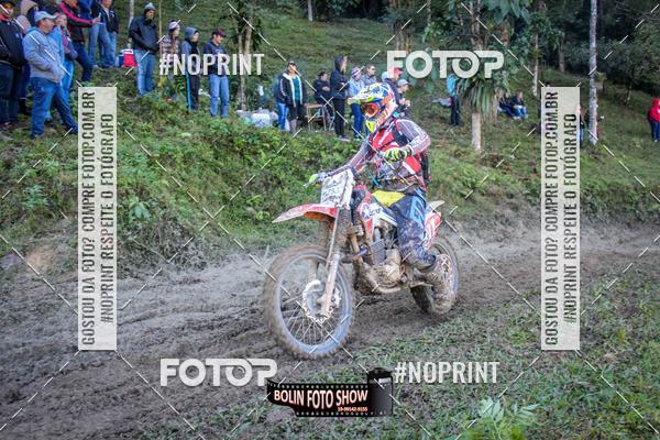 Buy your photos of the eventBANANALAMA  on Fotop