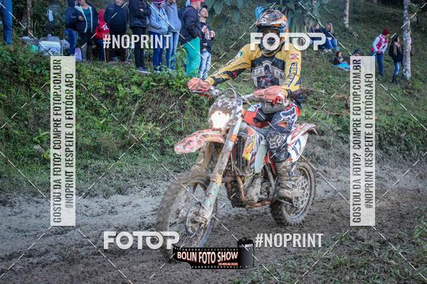 Buy your photos of the eventBANANALAMA  on Fotop