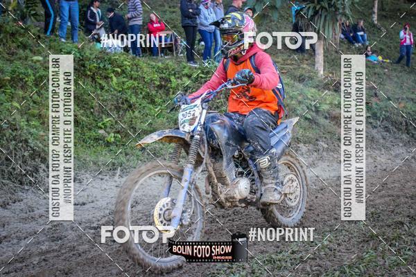 Buy your photos of the eventBANANALAMA  on Fotop