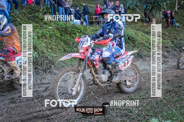 Buy your photos of the eventBANANALAMA  on Fotop