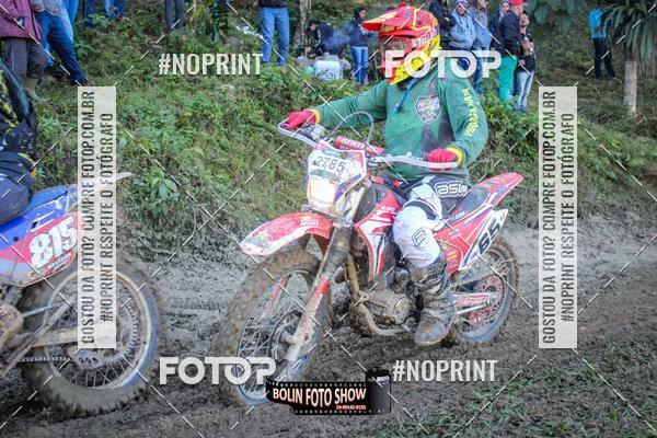 Buy your photos of the eventBANANALAMA  on Fotop