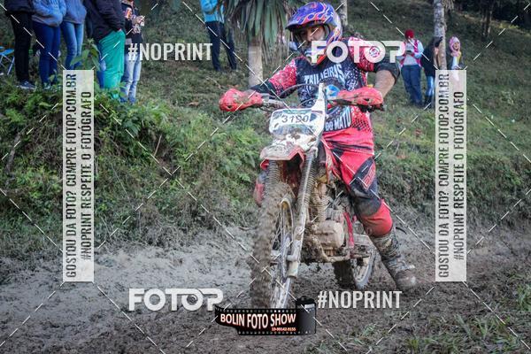 Buy your photos of the eventBANANALAMA  on Fotop