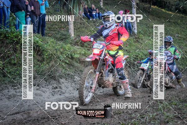 Buy your photos of the eventBANANALAMA  on Fotop