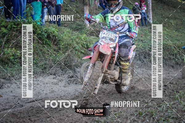 Buy your photos of the eventBANANALAMA  on Fotop