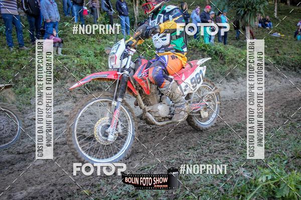 Buy your photos of the eventBANANALAMA  on Fotop