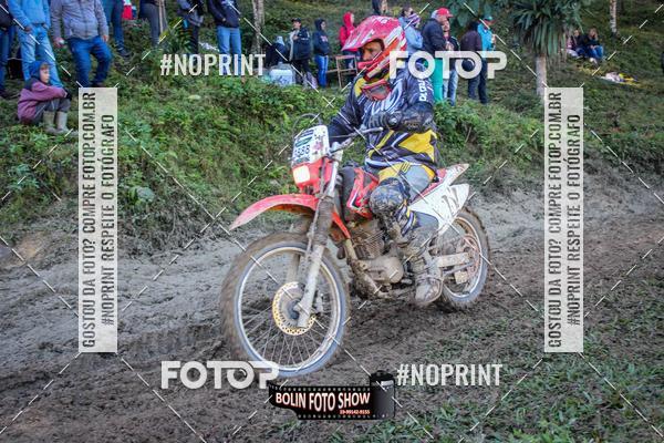 Buy your photos of the eventBANANALAMA  on Fotop