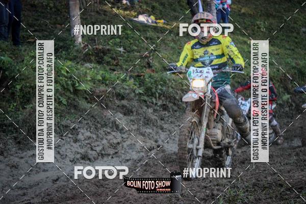 Buy your photos of the eventBANANALAMA  on Fotop