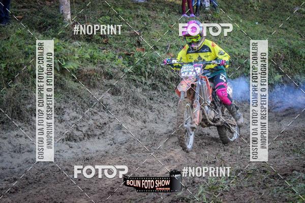 Buy your photos of the eventBANANALAMA  on Fotop