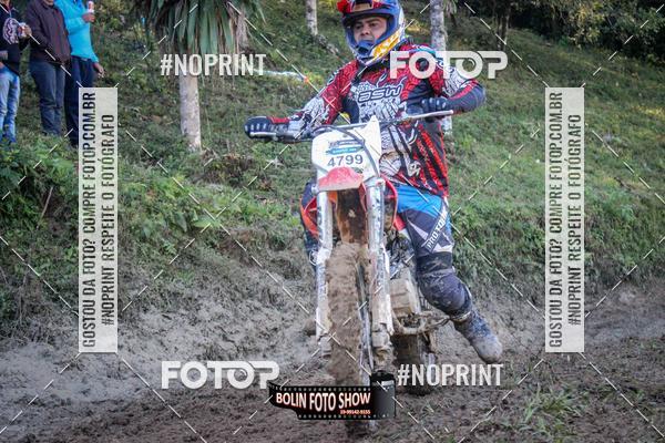 Buy your photos of the eventBANANALAMA  on Fotop