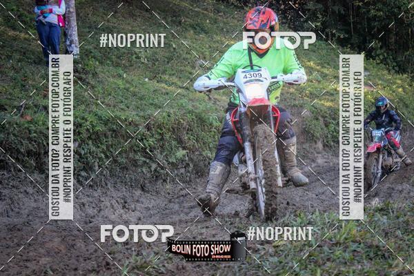 Buy your photos of the eventBANANALAMA  on Fotop