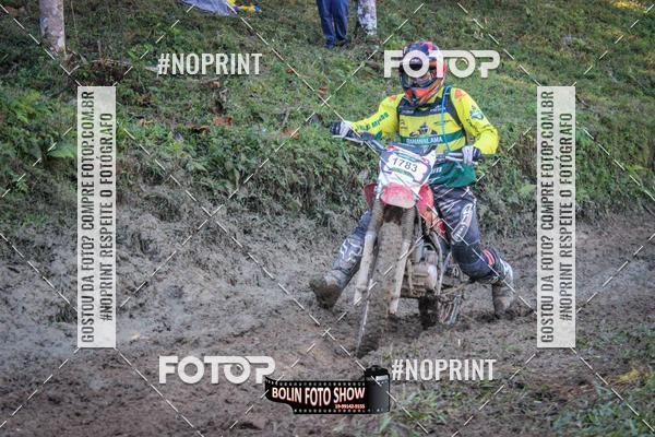 Buy your photos of the eventBANANALAMA  on Fotop