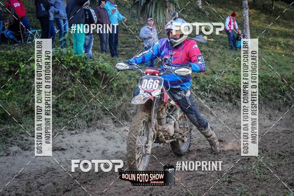 Buy your photos of the eventBANANALAMA  on Fotop