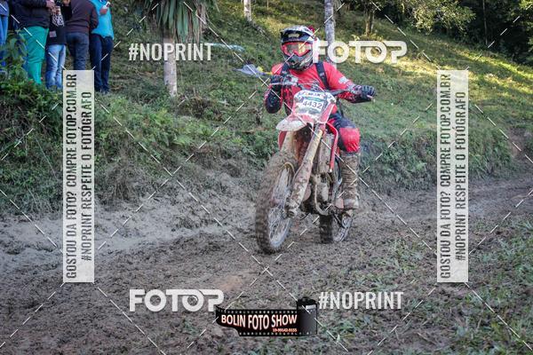 Buy your photos of the eventBANANALAMA  on Fotop