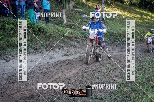 Buy your photos of the eventBANANALAMA  on Fotop