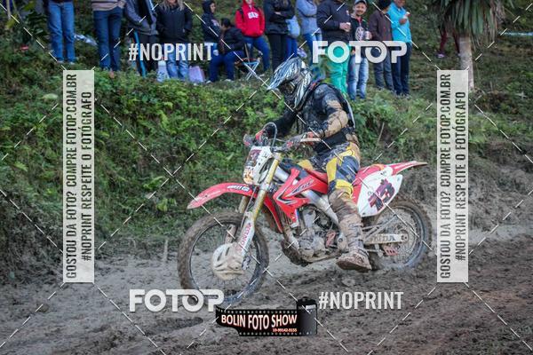 Buy your photos of the eventBANANALAMA  on Fotop