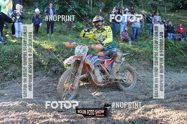 Buy your photos of the eventBANANALAMA  on Fotop