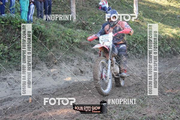 Buy your photos of the eventBANANALAMA  on Fotop