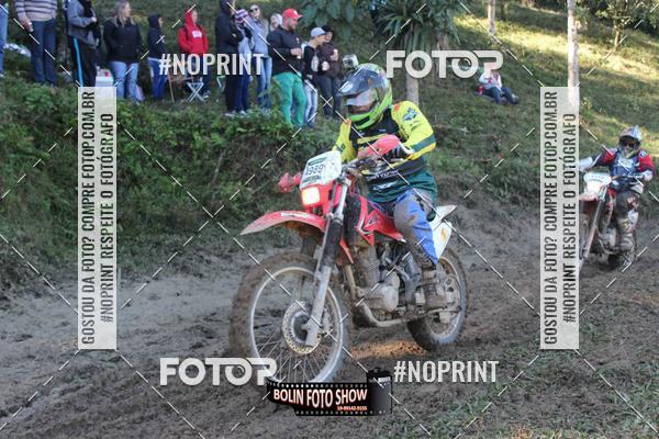 Buy your photos of the eventBANANALAMA  on Fotop