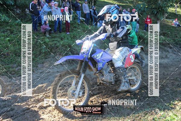 Buy your photos of the eventBANANALAMA  on Fotop