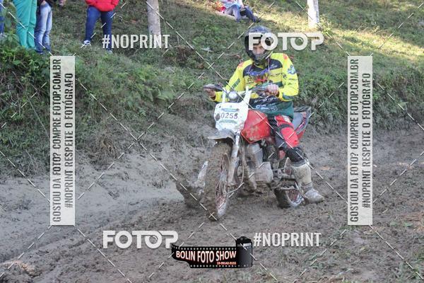 Buy your photos of the eventBANANALAMA  on Fotop