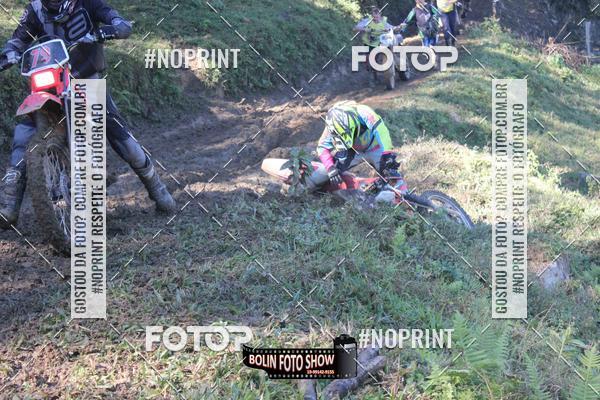 Buy your photos of the eventBANANALAMA  on Fotop