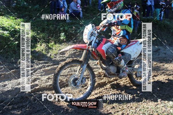 Buy your photos of the eventBANANALAMA  on Fotop