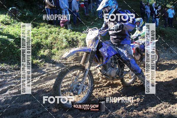 Buy your photos of the eventBANANALAMA  on Fotop