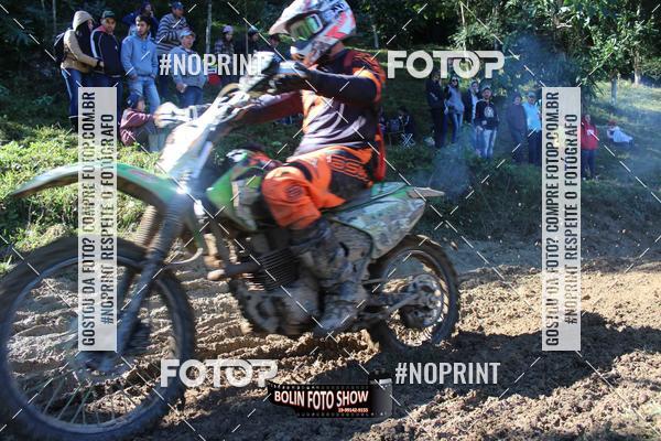 Buy your photos of the eventBANANALAMA  on Fotop