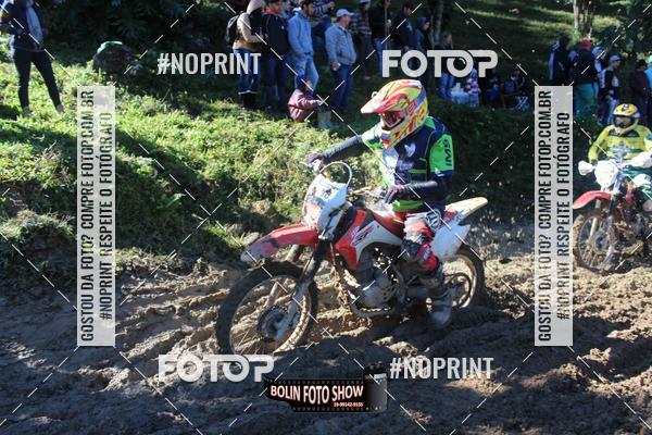 Buy your photos of the eventBANANALAMA  on Fotop