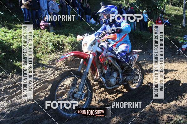 Buy your photos of the eventBANANALAMA  on Fotop