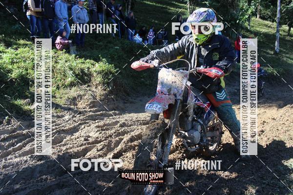 Buy your photos of the eventBANANALAMA  on Fotop