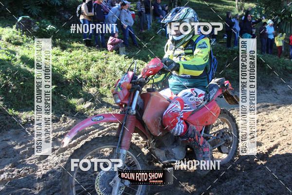 Buy your photos of the eventBANANALAMA  on Fotop