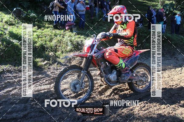 Buy your photos of the eventBANANALAMA  on Fotop