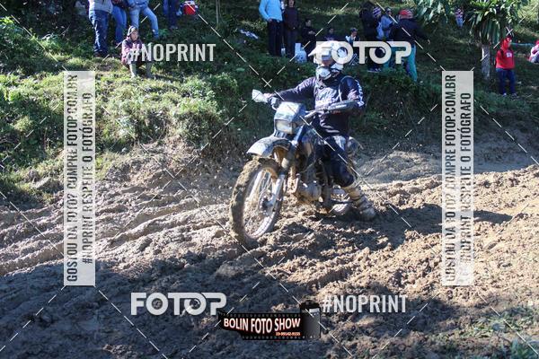 Buy your photos of the eventBANANALAMA  on Fotop