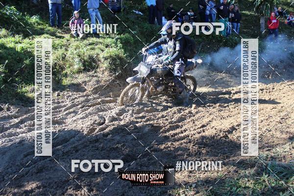 Buy your photos of the eventBANANALAMA  on Fotop