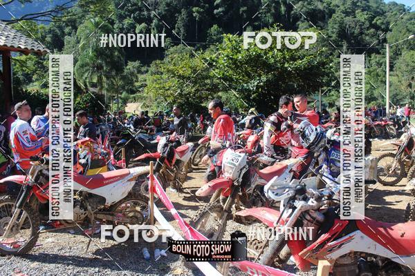 Buy your photos of the eventBANANALAMA  on Fotop