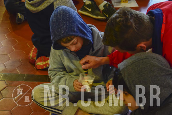 Buy your photos of the eventNR1 - Kids 08 a 14/07/19 on Fotop