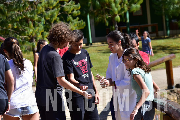 Buy your photos of the eventNR2 - Teens 08 a 21/07/19 on Fotop