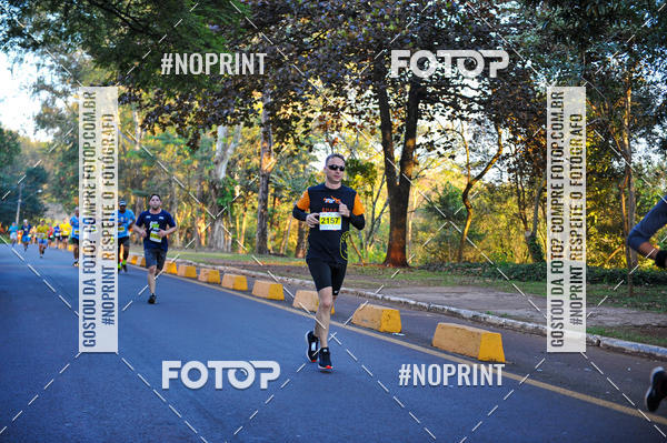Buy your photos of the eventMeia Maratona Super Muffato  - FRESH RUN on Fotop