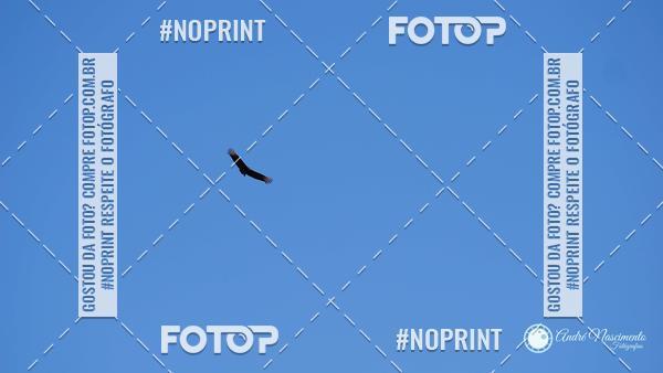 Buy your photos of the eventCorinthians x Ferrovi�ria  on Fotop