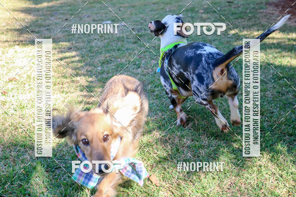 Compre suas fotos do eventoCo Joo - Festa Julina do Clube dos Salsichanos Ribeiro Preto no Fotop