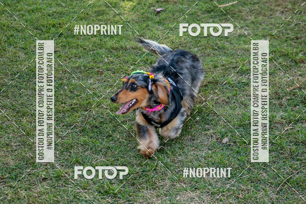 Compre suas fotos do eventoCo Joo - Festa Julina do Clube dos Salsichanos Ribeiro Preto no Fotop