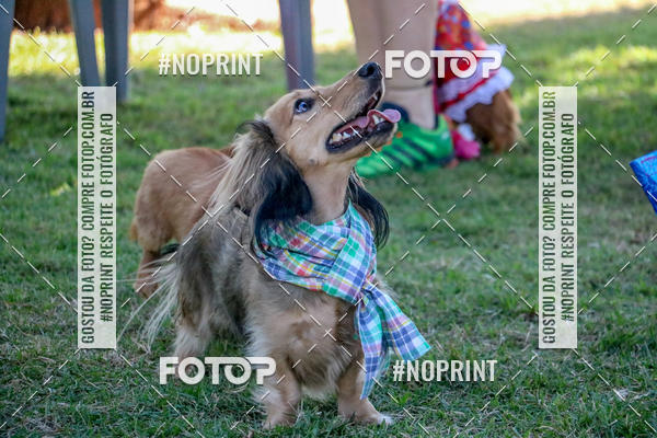 Compre suas fotos do eventoCo Joo - Festa Julina do Clube dos Salsichanos Ribeiro Preto no Fotop