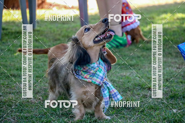 Compre suas fotos do eventoCo Joo - Festa Julina do Clube dos Salsichanos Ribeiro Preto no Fotop